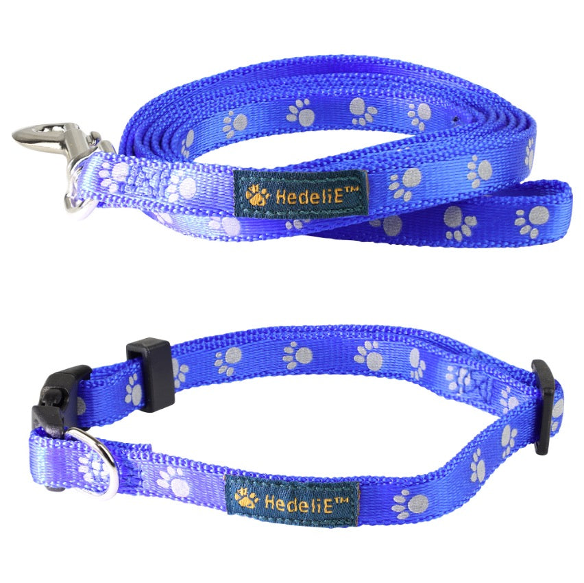 Reflective Nylon Collar and Leash Set for Puppies and Cats HedeliE