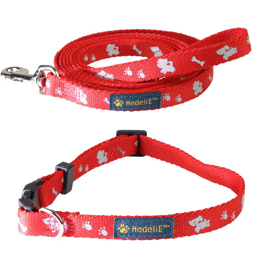 Reflective Collar and Leash Set for Puppies and Cats HedeliE